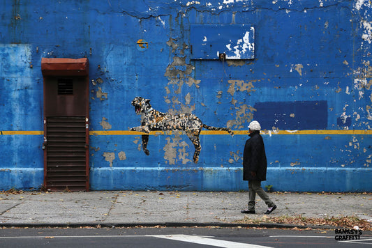 Tag Leopard - Banksy Graffiti Art